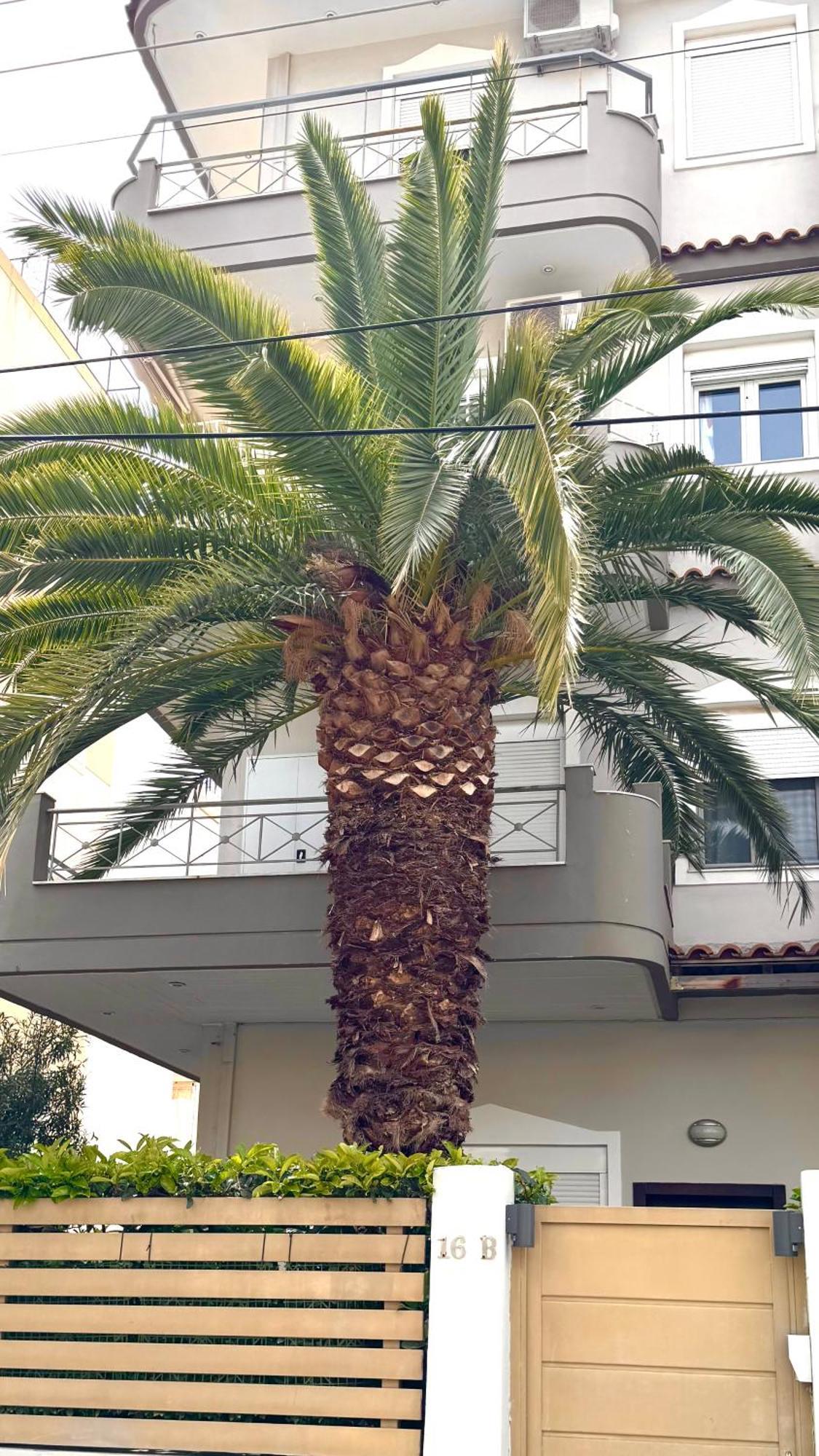 Elegant Glyfada Apartment-Private Garden-Near Metro Athens Exterior photo